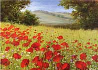 Red Poppies